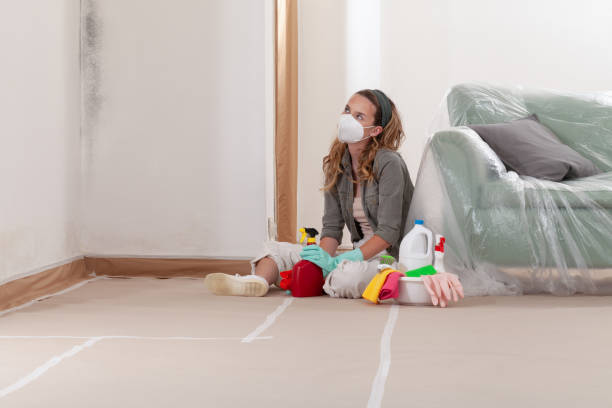 Reliable Mold Remediation contractor in Barco, NC by WQB Mold Removal